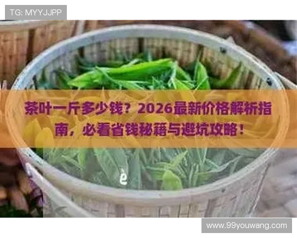 365玩球平台彩票数字高频玩法防骗避坑指南 365玩球平台彩票数字高频玩法防骗避坑指南